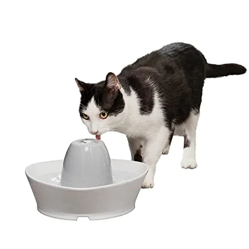 PetSafe Ceramic Pet Fountain - Rank 3 in Best Cat Water Fountain of 2025