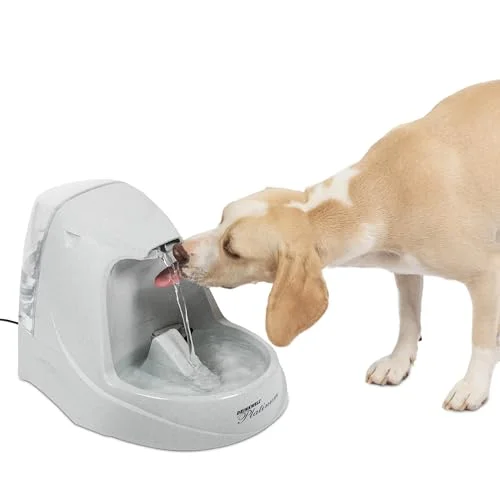 PetSafe Drinkwell Platinum Cat Water Fountain - Rank 8 in Best Cat Water Fountain of 2025