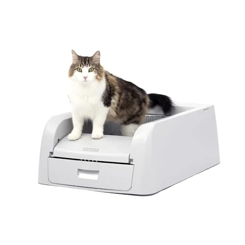 PetSafe ScoopFree Clumping Automatic Cat Litter Box - Rank 6 in Best Automatic Cat Litter Box of 2025