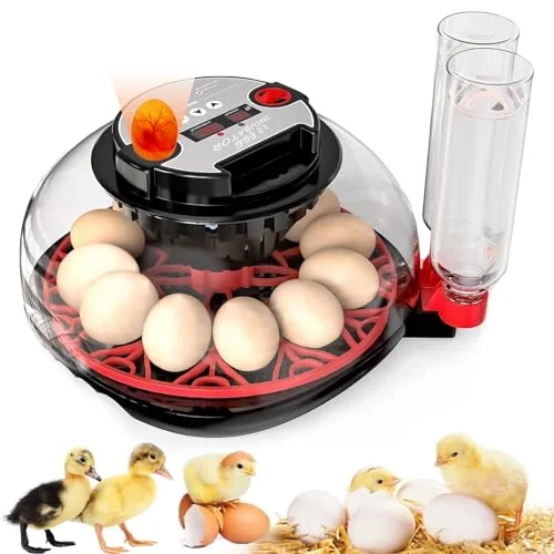 MYMULIKE Automatic Egg Incubator - Rank 9 in Best Egg Incubator of 2025