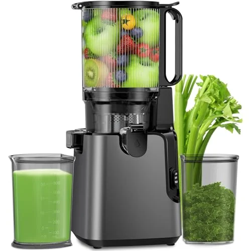 YPONE Cold Press Juicer Titanium Gray - Rank 9 in Juicer Machines
