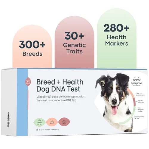 Basepaws Dog DNA Testing Kit - Rank 3 in Dog Dna Tests of 2025