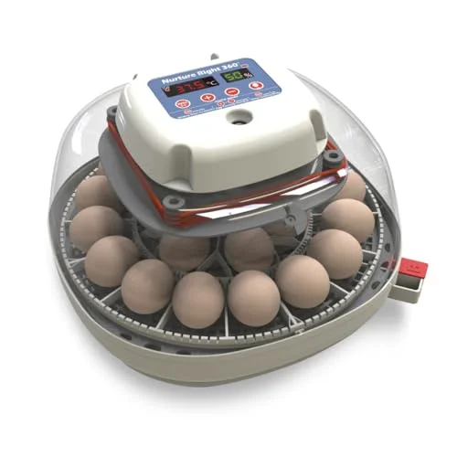 Best Egg Incubator of 2025 - Top rated Other products