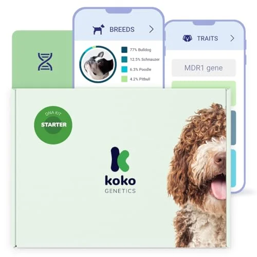 Koko Genetics DNA Test for Dogs - Rank 7 in Dog Dna Tests of 2025