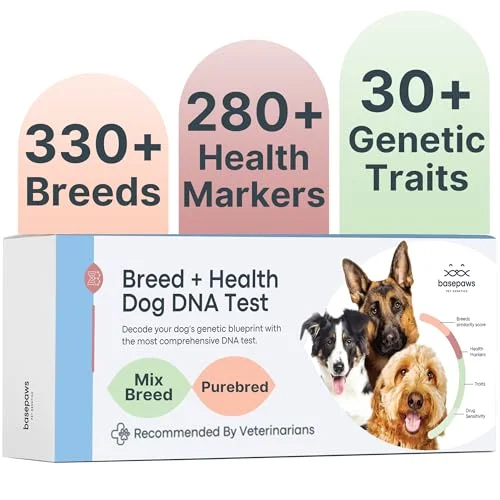 Basepaws Dog DNA Testing Kit - Rank 2 in Best Pet Dna Tests of 2025