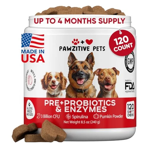 Best Probiotics For Dogs of 2025 - Top rated Pets products
