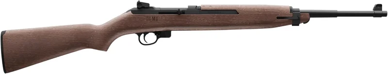 Crosman CFAM1 Full Auto CO2 BB Rifle - Rank 5 in Best Bb Gun of 2025