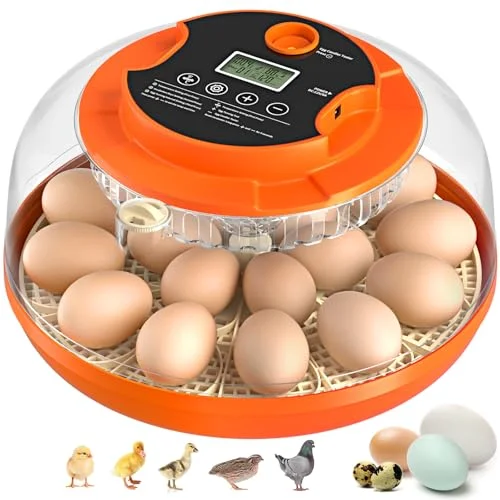Onsju 18 Egg Incubator with Auto Turning - Rank 5 in Best Egg Incubator of 2025