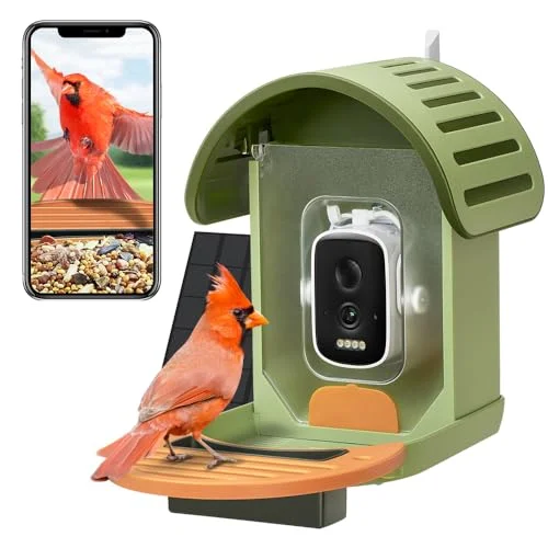 Bird Camera Feeders - Top rated Garden products