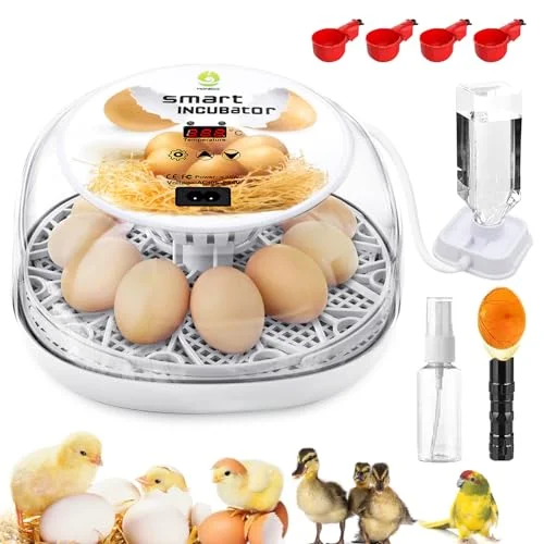 MYMULIKE Automatic Egg Incubator - Rank 10 in Best Egg Incubator of 2025