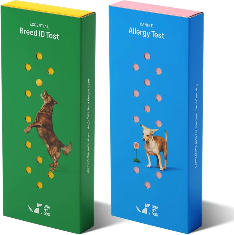 DNA My Dog Ultimate Health & Breed Bundle - Rank 5 in Best Pet Dna Tests of 2025