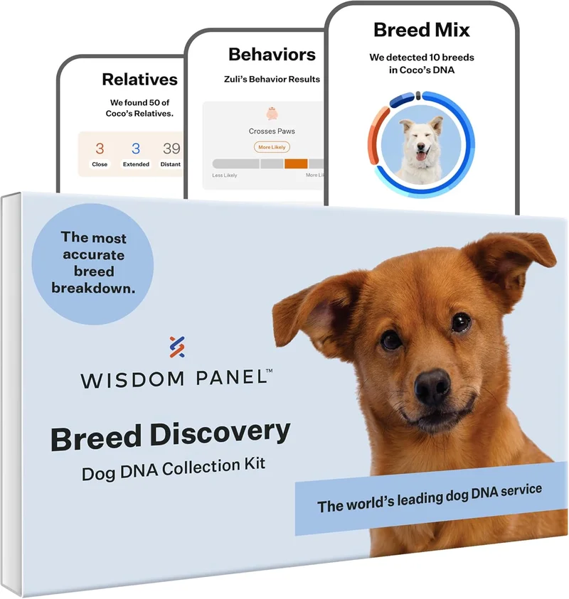 Wisdom Health Breed Discovery Dog DNA Kit - Rank 8 in Best Pet Dna Tests of 2025