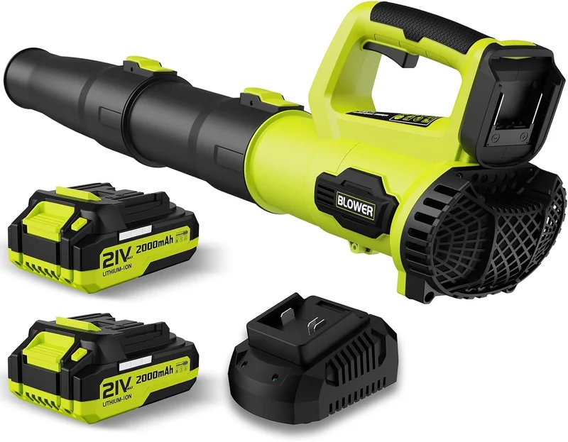 LEAPUL 21V Cordless Leaf Blower - Rank 9 in Best Electric Leaf Blower of 2025