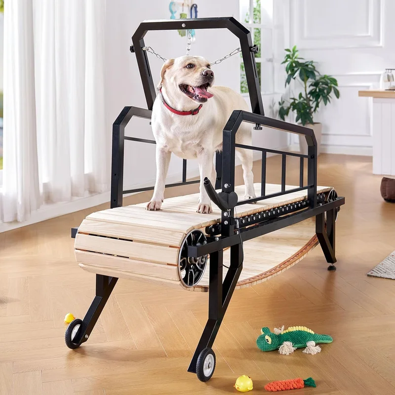 Albott Dog Treadmill for Large Dogs - Rank 8 in Best Treadmill For Dogs of 2025