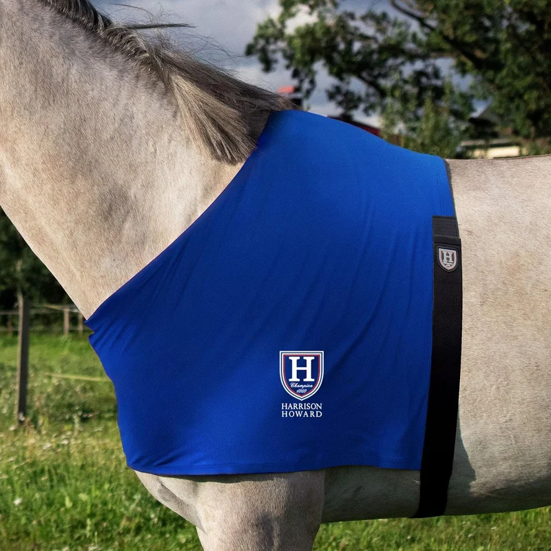 Harrison Howard Horse Stretch Vest Blue L - Rank 9 in Best Chest Rub of 2025